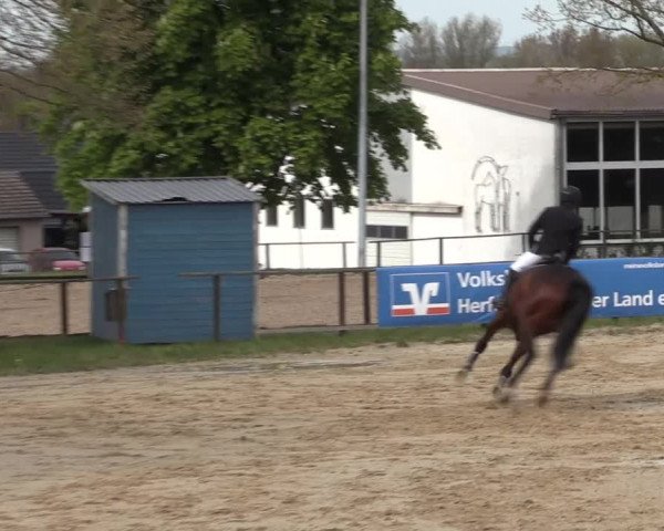 Reitturnier Spenge - Wallenbrück 2022