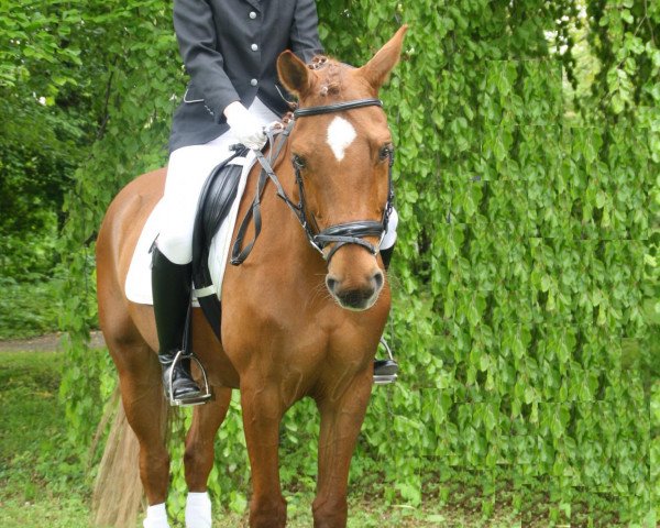 dressage horse Finett's Frohsinn (Westphalian, 2001, from Feinsinn)