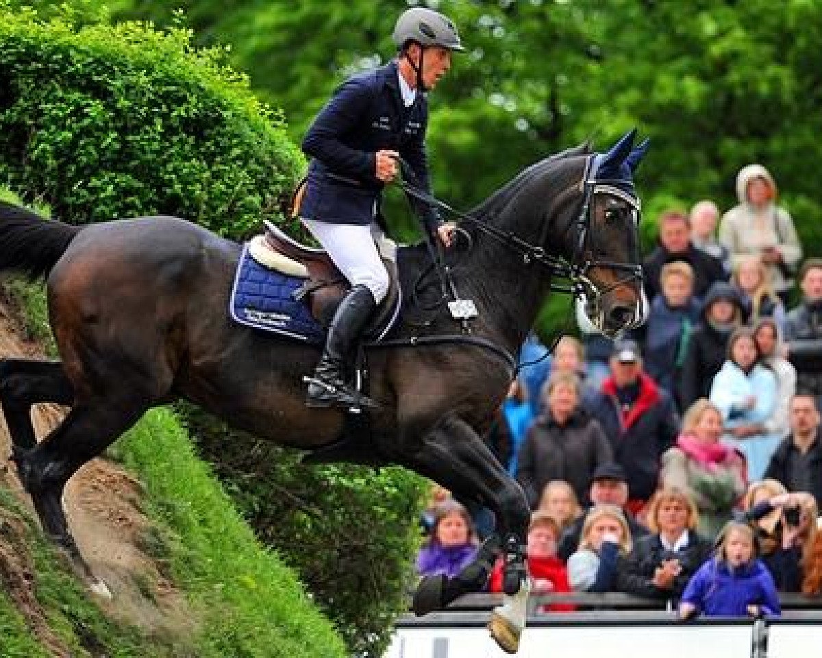 Cavallo da salto Hello Max (Irish Sport Horse, 1994, di Animo's Hallo)