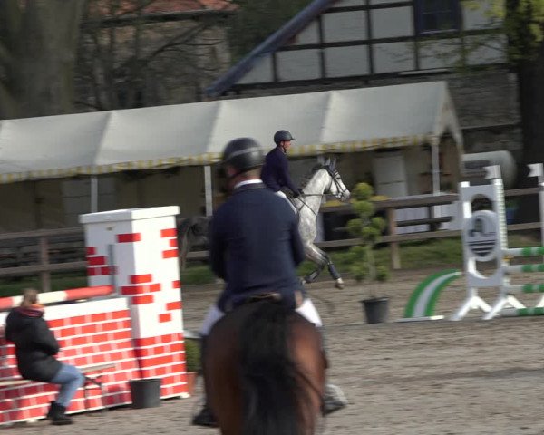 Reitturnier Hildesheim-Steuerwald 2022