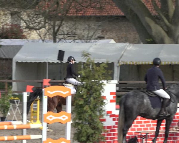 Reitturnier Hildesheim-Steuerwald 2022