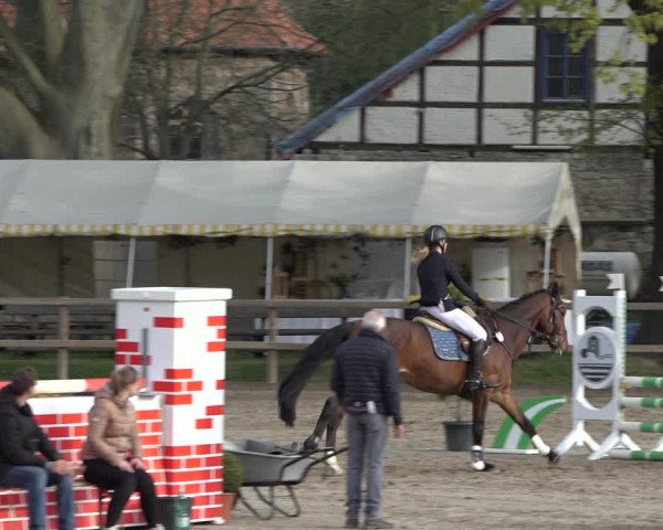 Reitturnier Hildesheim-Steuerwald 2022