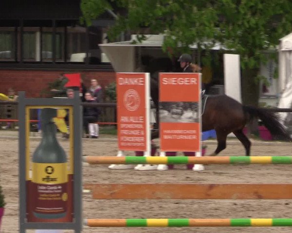 Reitturnier Havixbeck 2022