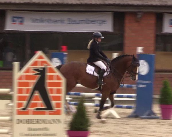 Reitturnier Havixbeck 2022