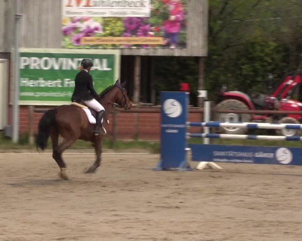 Reitturnier Havixbeck 2022