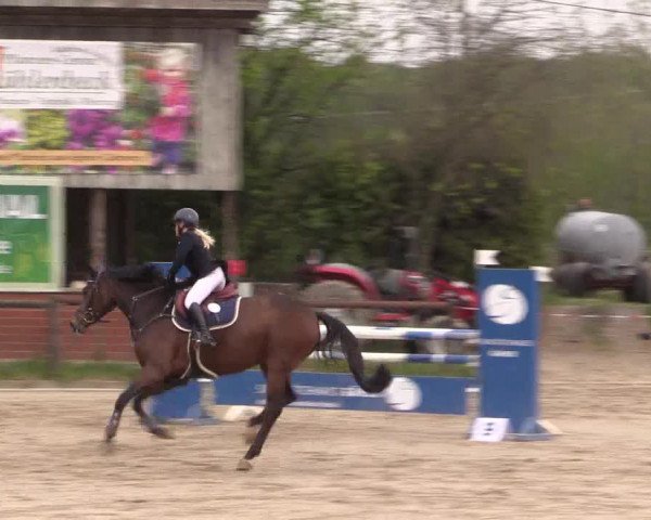 Reitturnier Havixbeck 2022