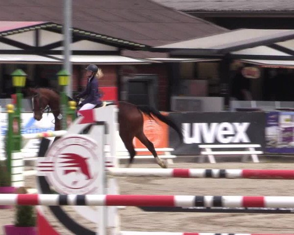 Reitturnier Havixbeck 2022
