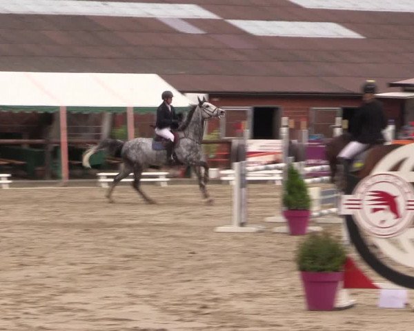 Reitturnier Havixbeck 2022