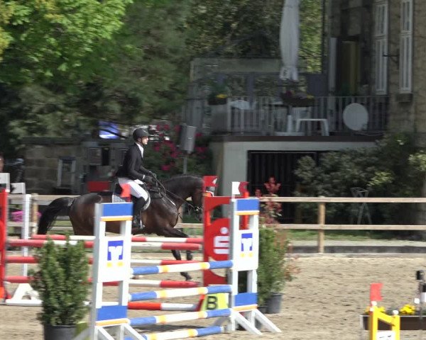 Reitturnier Hildesheim-Steuerwald 2022