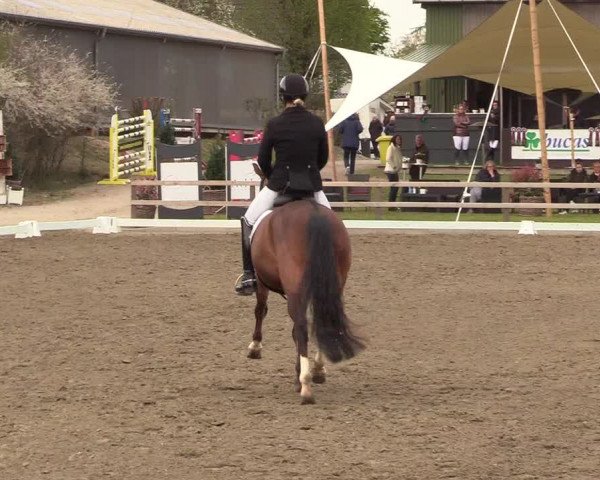 Reitturnier Kleinsolt 2022