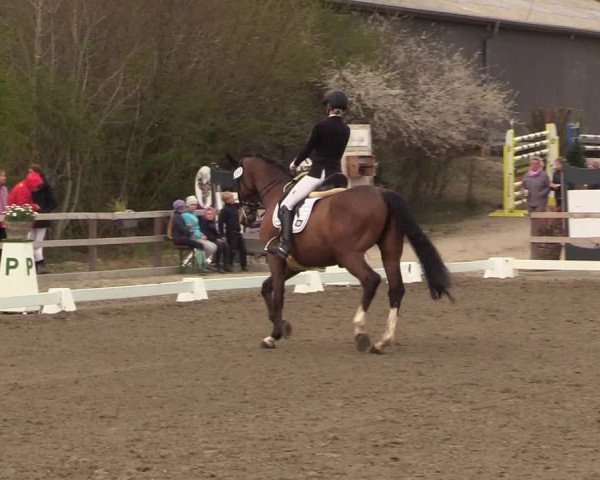 Reitturnier Kleinsolt 2022