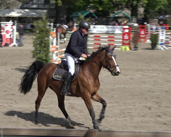 Reitturnier Hildesheim-Steuerwald 2022