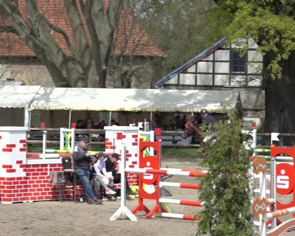 Reitturnier Hildesheim-Steuerwald 2022