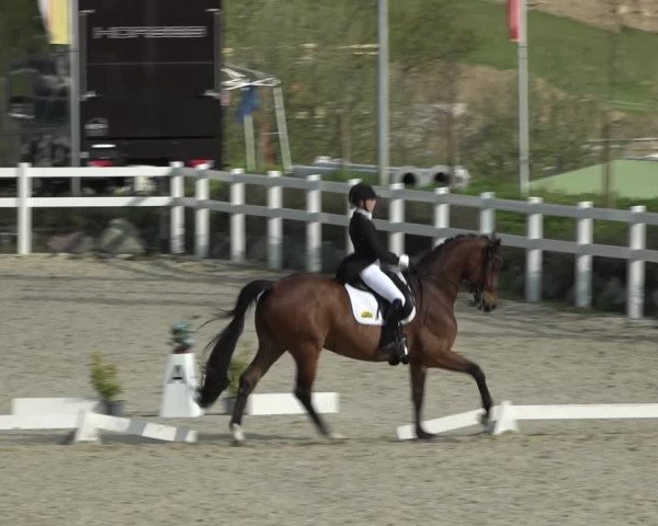 Reitturnier K, St. Margarethen-Stückler 2022