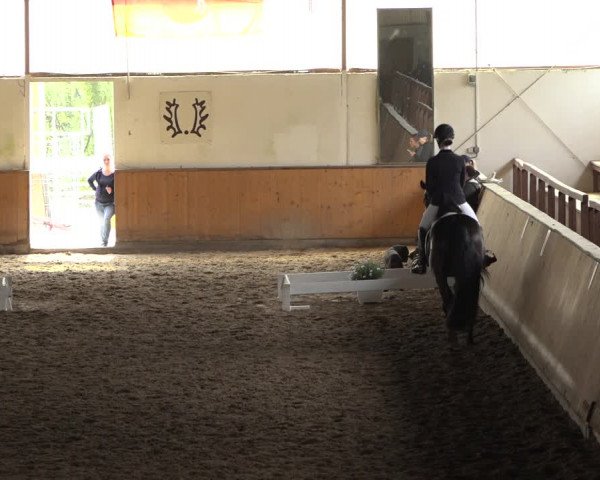 Reitturnier Hildesheim-Steuerwald 2022