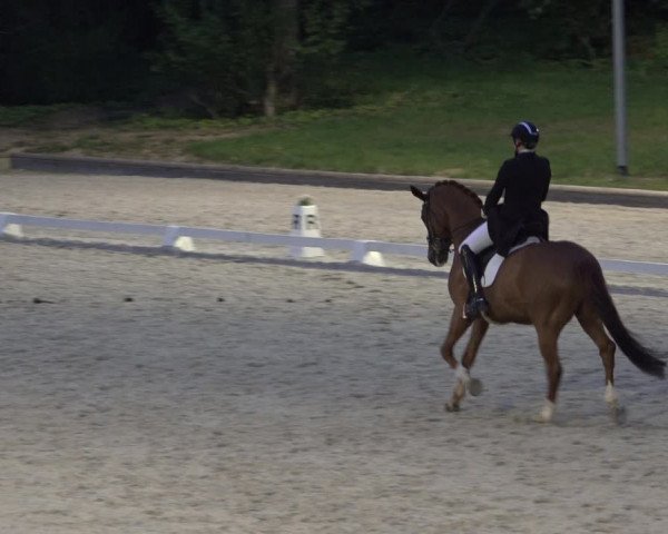 FEI Reitturnier Troisdorf (GER) 2022