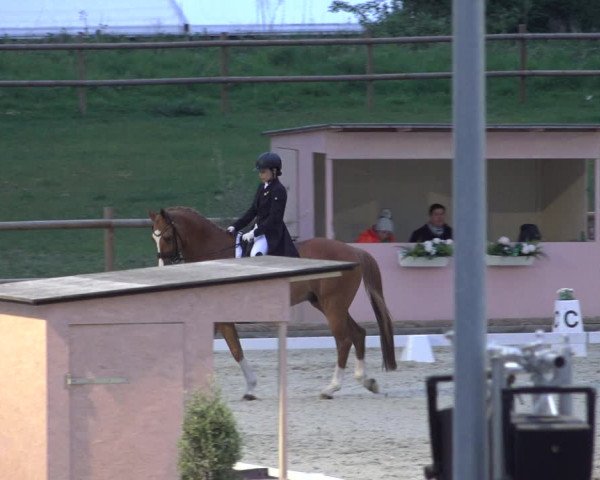 FEI Reitturnier Troisdorf (GER) 2022