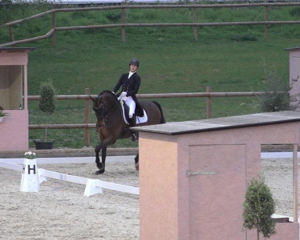 FEI Reitturnier Troisdorf (GER) 2022