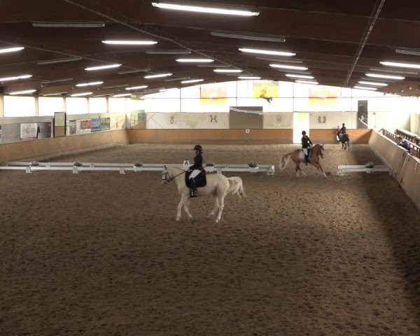 Reitturnier Hildesheim-Steuerwald 2022