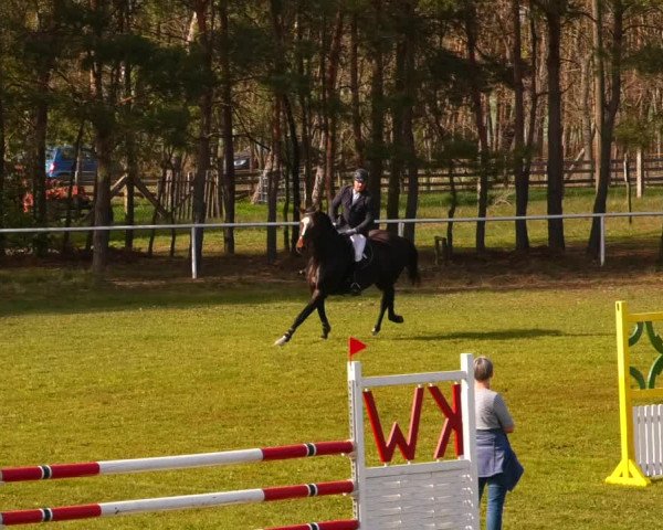 Reitturnier Altbarnim 2022