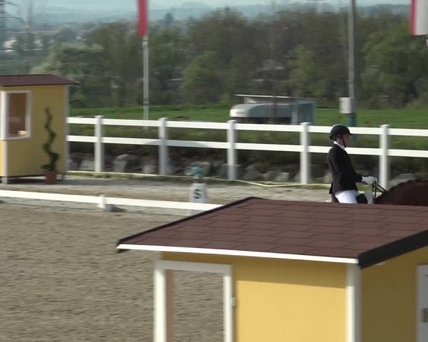 Reitturnier K, St. Margarethen-Stückler 2022
