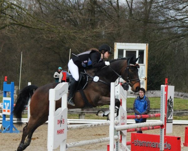 jumper Etoile (Rhinelander, 2002, from Ehrentanz I)