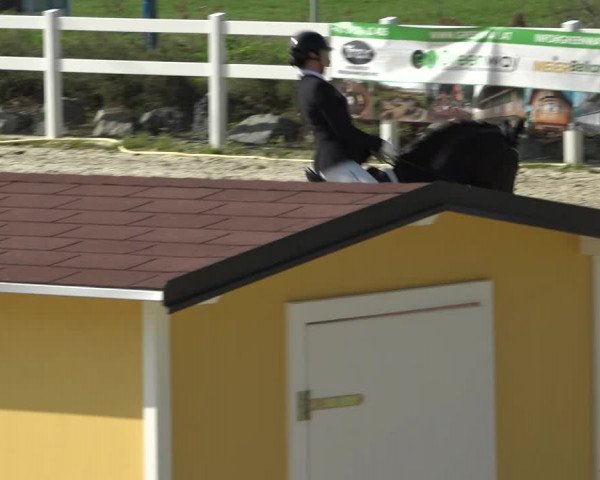 Reitturnier K, St. Margarethen-Stückler 2022