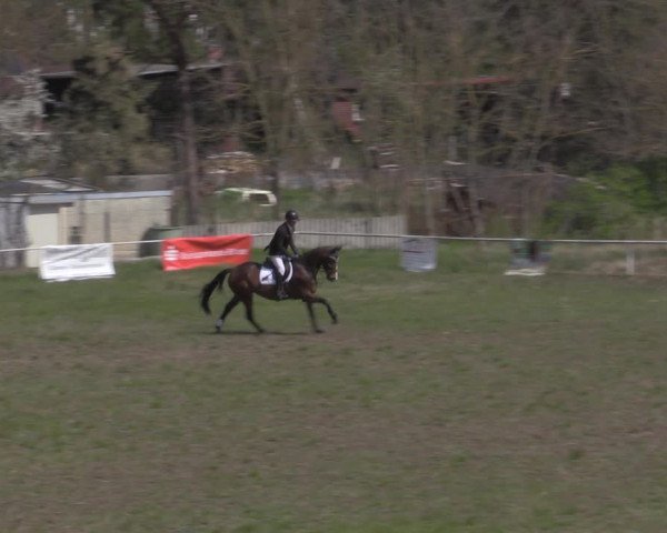 Reitturnier Colbitz 2022