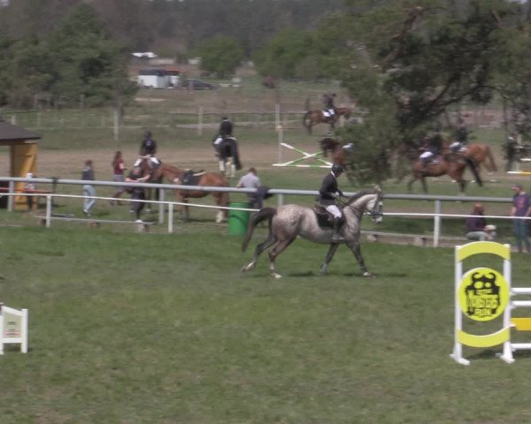 Reitturnier Colbitz 2022