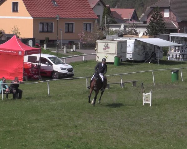 Reitturnier Colbitz 2022