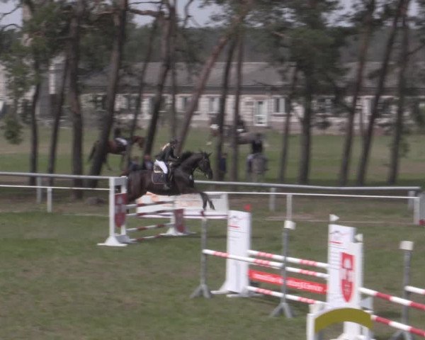 Reitturnier Colbitz 2022