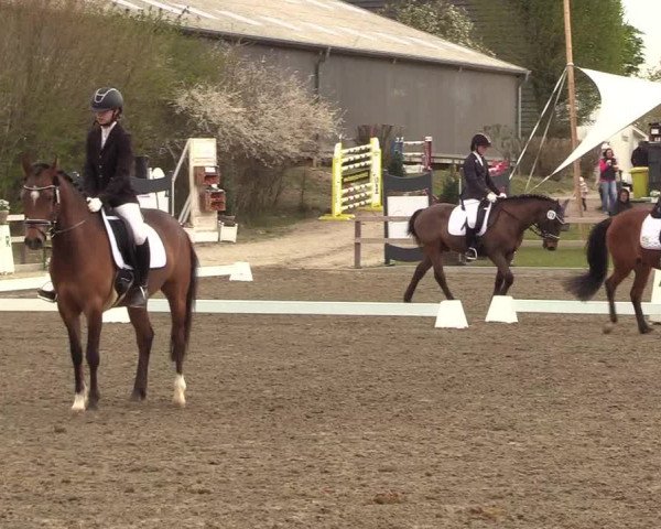 Reitturnier Kleinsolt 2022