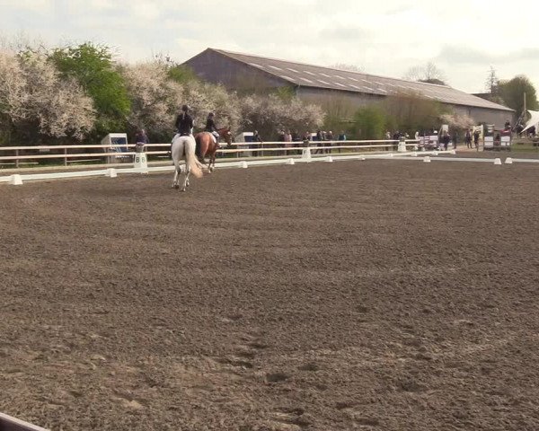 Reitturnier Kleinsolt 2022