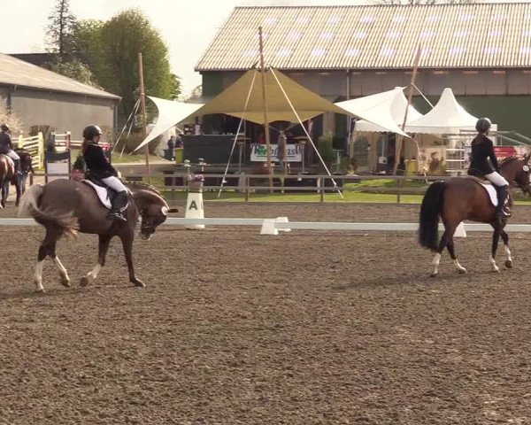 Reitturnier Kleinsolt 2022
