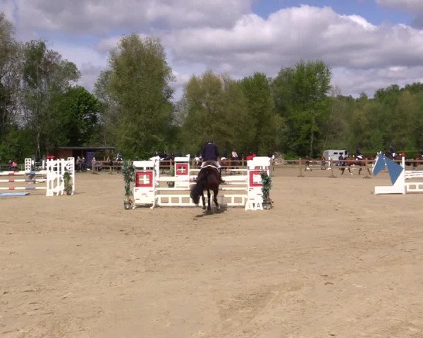 Reitturnier Kamen 2022