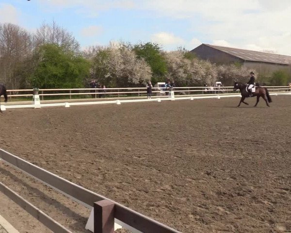 Reitturnier Kleinsolt 2022
