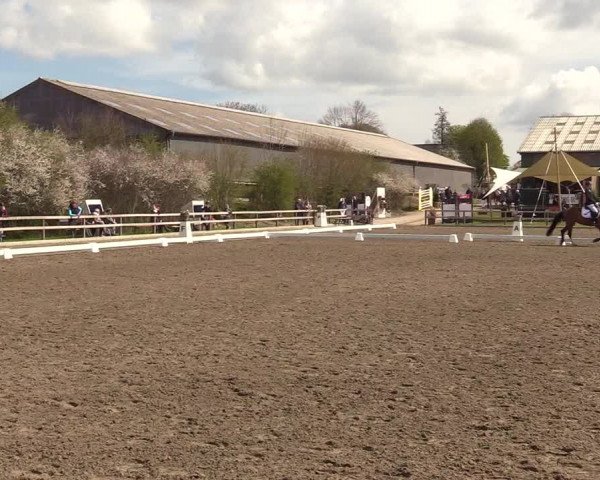Reitturnier Kleinsolt 2022