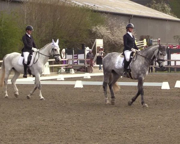 Reitturnier Kleinsolt 2022