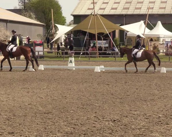 Reitturnier Kleinsolt 2022