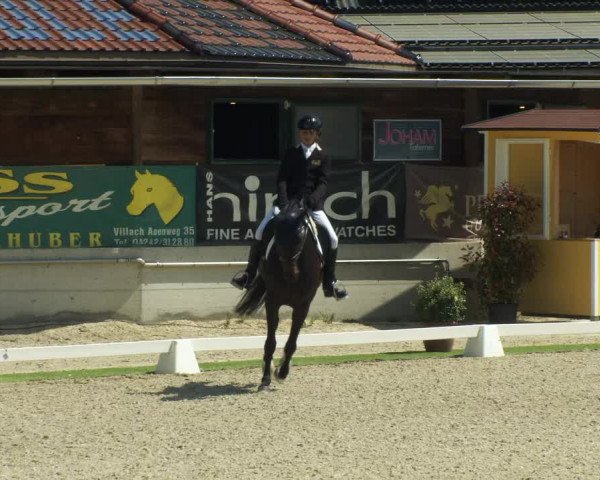 FEI Reitturnier St. Margarethen (AUT) 2022