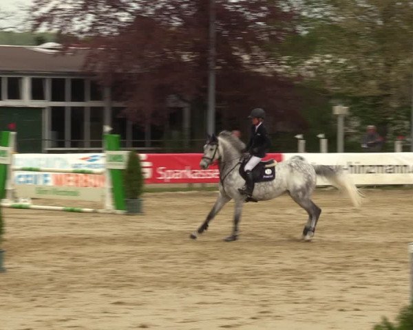 Reitturnier Spenge - Wallenbrück 2022
