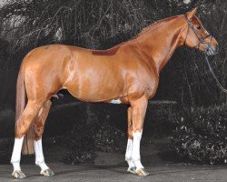stallion Emerald van 't Ruytershof (Belgian Warmblood, 2004, from Diamant de Semilly)