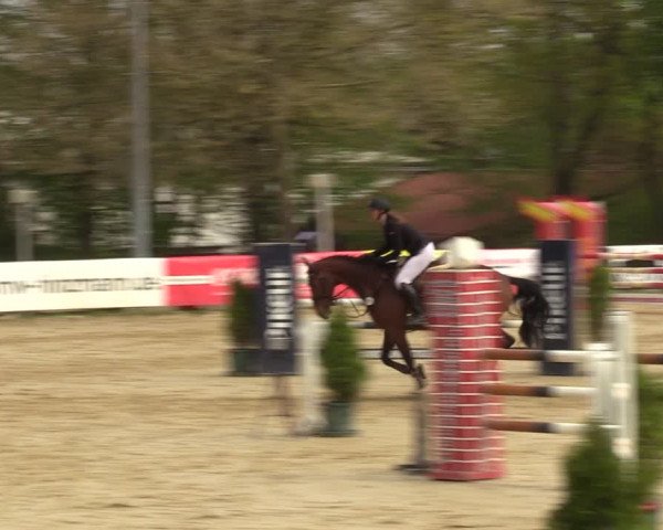 Reitturnier Spenge - Wallenbrück 2022