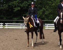 broodmare Kunter Bunte R (German Riding Pony, 2007, from The Braes My Mobility)