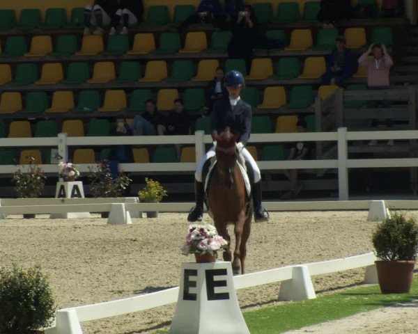 FEI Reitturnier St. Margarethen (AUT) 2022