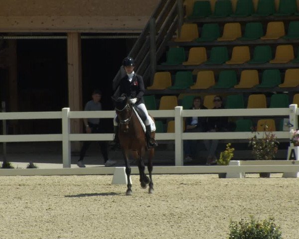 FEI Reitturnier St. Margarethen (AUT) 2022