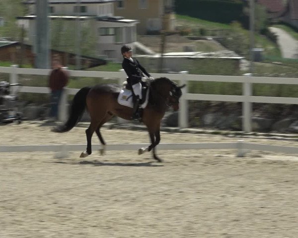 Reitturnier K, St. Margarethen-Stückler 2022
