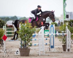 broodmare Cara Caramba 2 (German Sport Horse, 2007, from Con Sherry)