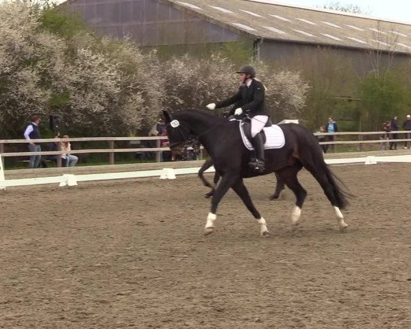 Reitturnier Kleinsolt 2022