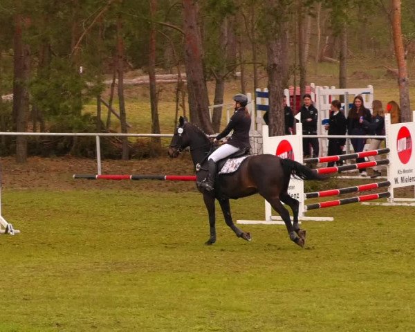 Reitturnier Altbarnim 2022